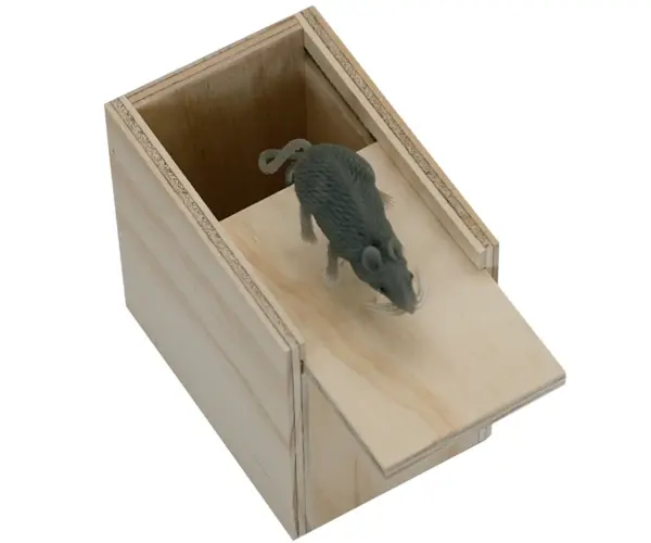 Surprise Box - Mouse