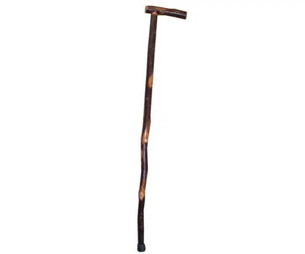 T-Cane